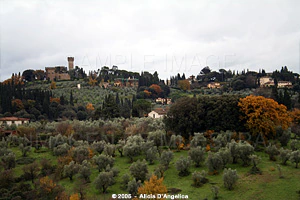 FLORENCIA - Vista desde el Giardino dei Boboli II