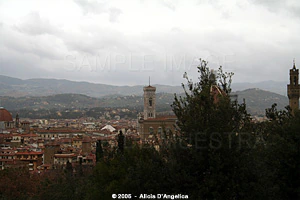 FLORENCIA - Vista desde el Giardino dei Boboli III