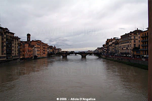 FLORENCE - Arno River II