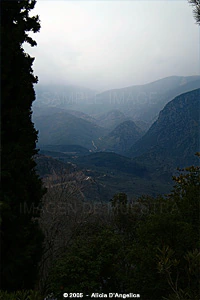 DELPHI