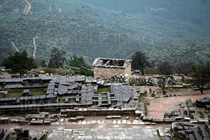 DELPHI