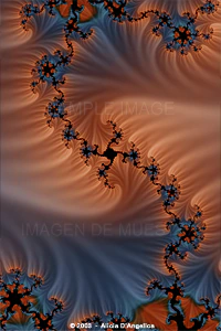 PLAYING WITH FRACTALS # 19