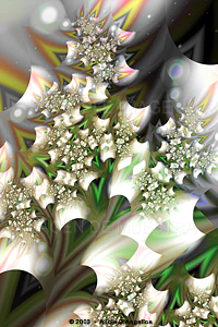 PLAYING WITH FRACTALS # 25